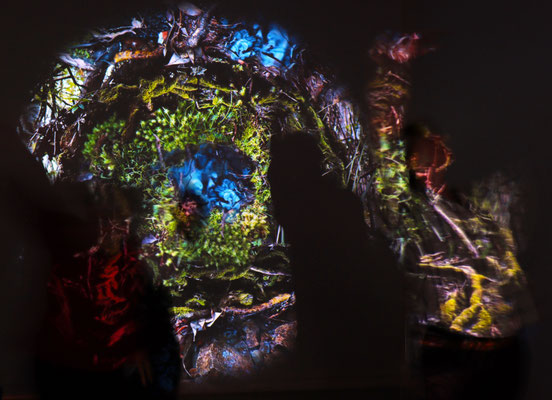 Helen and Davie in the CUSP projection