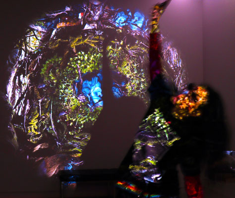 Merri in the CUSP projection