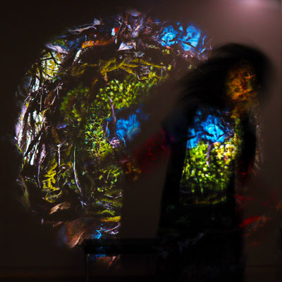 Merri in the CUSP projection