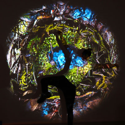 Brendan in the CUSP projection