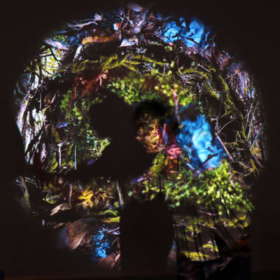 Davie in the CUSP projection