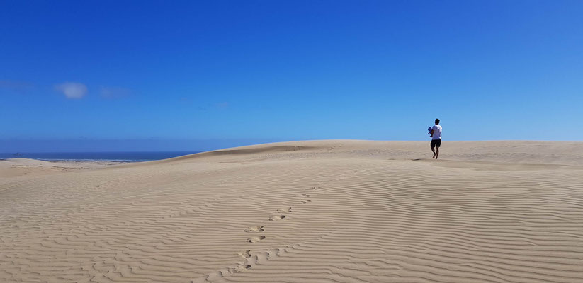 Te Paki Sand Dunes - North Island
