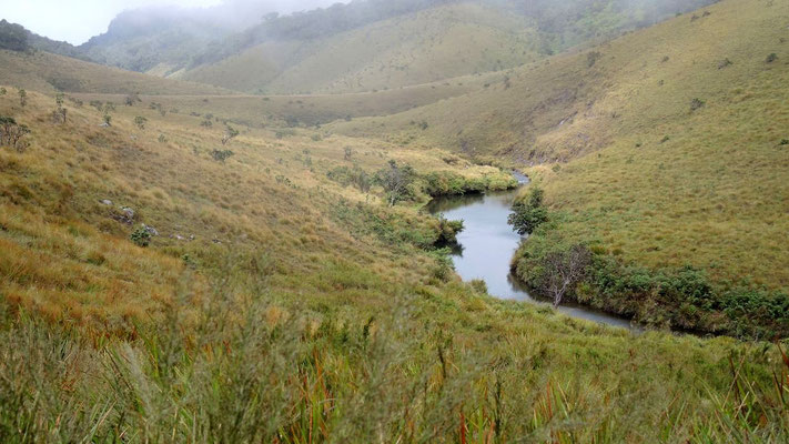 Horton Plains National Park - The Hill Country