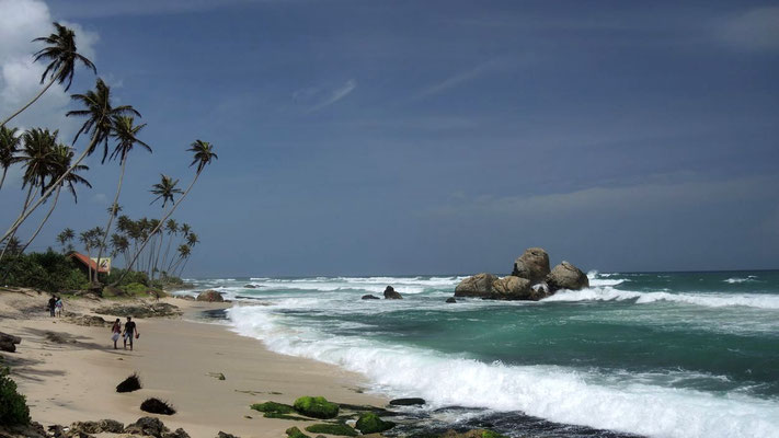 Sri Lanka South Coast