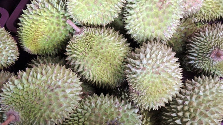 Durian Fruits - Dambulla Wholesale Market