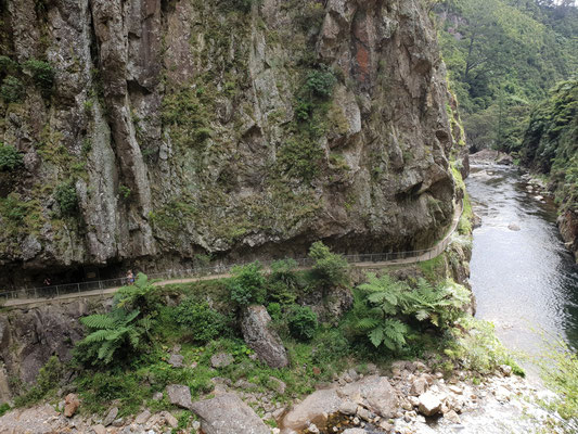 Karangahake Gorge - North Island