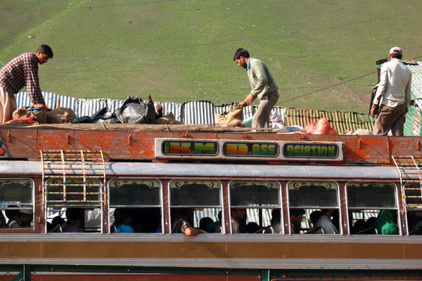 Bus travellers - Sonamarg - Kashmir