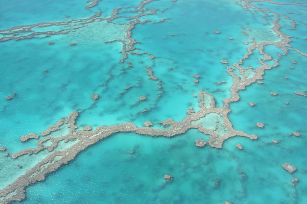 Hardy Reef - Great Barrier Reef - Queensland
