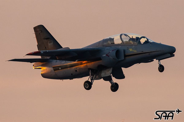 I-MJET, SIAI-Marchetti S.211, Cuban8, 05.02.2025, Lutz Lehmann