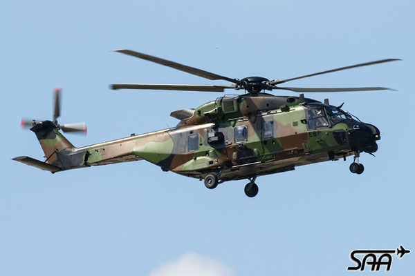 1431, NH Industries NH90 TTH, French Army, 14.04.2025, Lutz Lehmann
