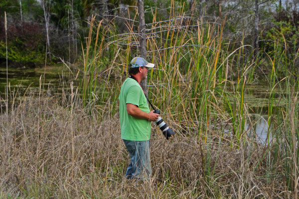 Everglades 2011