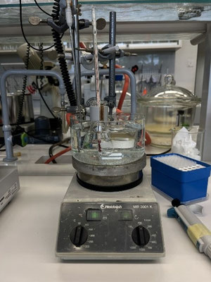 Apparatur_chemisch_zur_Untersuchung_Nikotinfreisetzung