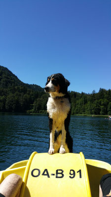 Freibergsee