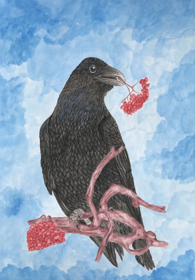 Raven: Inktense on Fabriano Artistico 35,5x51cm
