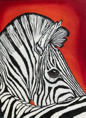 Zebra / Canvas Sheet 36x48cm / Nur Kunst-Druck / Only Fine-Print