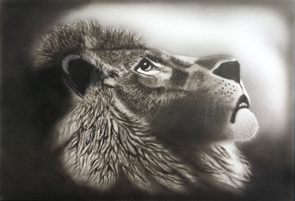 Lion / Airbrush Paper 35x50cm