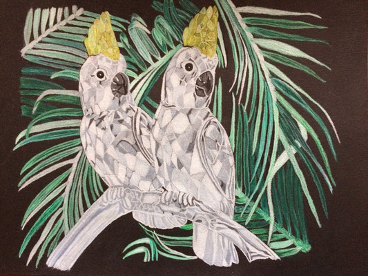 Swarovski Cockatoos: Caran d'Ache Luminance + Prismacolor on Canson Paper black A4