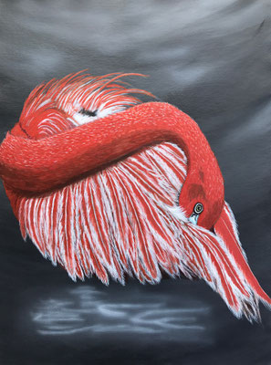 Flamingo / Canvas Sheet 36x48cm