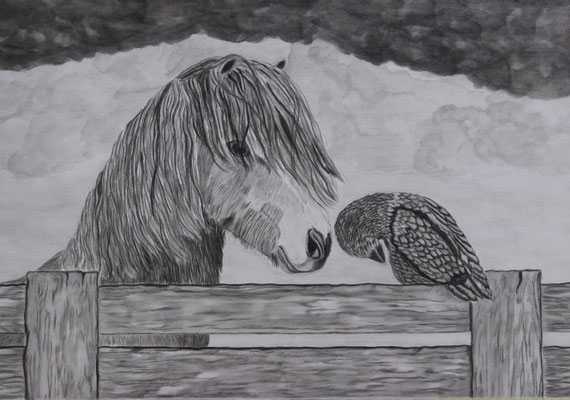 Be My Friend / Graphit 35,5x51cm