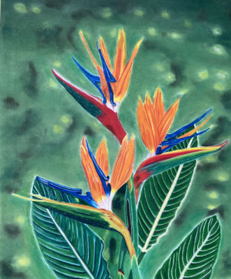 Strelitzia / PanPastel + Faber Castell Polychromos on Pastelmat 24x30cm