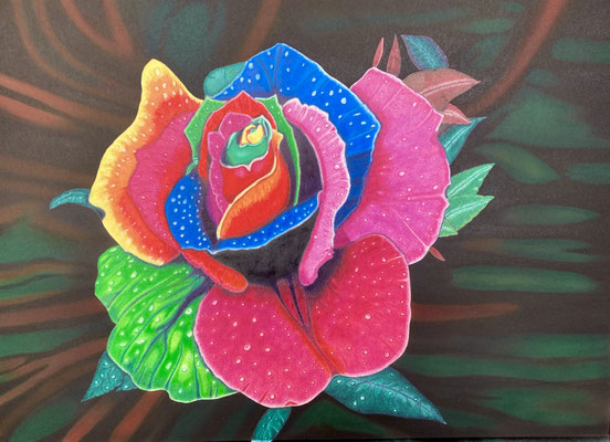 Rainbow Rose: Airbrush / Caran d'Ache Luminance + Pablo on Arches 300g 36x51cm