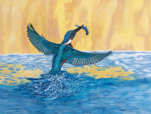 Ice Bird: Caran d'Ache Luminance on Fabriano Artistico 160g / A3