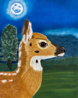 Bambi / Pan Pastel / Pastel Pencils on Pastelmat 24x30cm