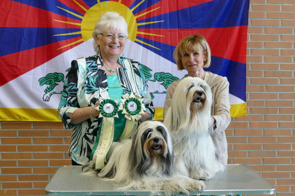 CAC Veteran, Lha-Khang Gopala Aghora + Res.CAC Offene Klasse, Lha-Khang Sambhala Agyis