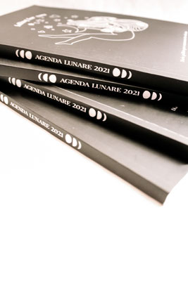 Agenda lunare 2021 "Falling for you" -30%-  15€