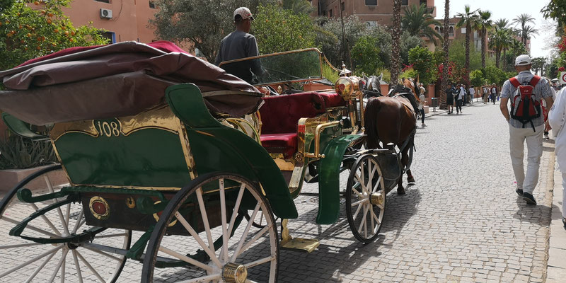 Nach der Busfahrt ins Zentrum der Stadt, geht es vorbei an den vielen Pferdekutschen beim Hauptplatz "Jemaa el-Fna".    (Bild: Marion oder Hans)
