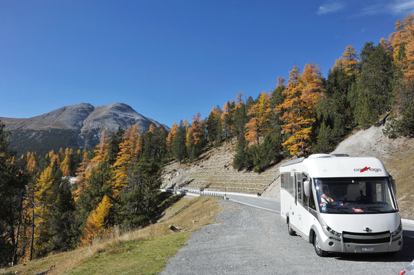 Wunderschönes Herbstwetter begleitet uns bei der Fahrt in den Schweizerischen Nationalpark.