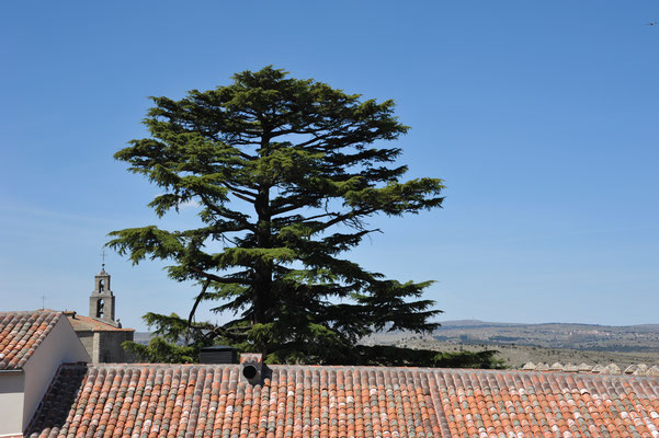 Einige Ansichten über die Dächer von Ávila.