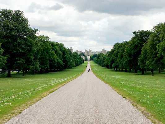Zum Abschluss unseres Besuches spazieren wir über "The Long Walk", die schnurgerade, 4km lange Strasse vom Schloss zur Statue von King George III.