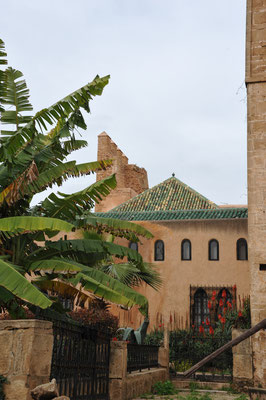 Bevor wir die Kasbah verlassen, besuchen wir noch den "Andalusischen Garten"...