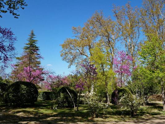 Der Frühling zaubert die Parks in ein zartes Grün und die Blütenpracht diverser Büsche und Bäume ist betörend.