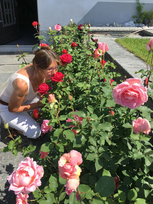 Ida kann sich an den Rosen im Garten nicht satt sehen (und satt riechen), welche von Rahel und Fabian so toll gepflegt werden... 