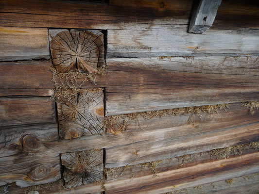 Die Blockhaustechnik nutzte die isolierende Wirkung des Holzes um die Wärme in den strenegen arktischen Wintern besser im Wohnraum halten zu können. Alle Ritzen wurden sorgfältig mit Moos abgedichtet.