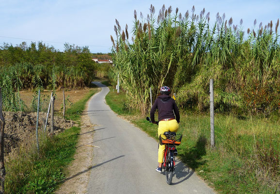 Zwei E-Biketouren führen uns an der nur 46 km langen Adriaküste Sloweniens entlang. Das eine Mal zur östlich gelegenen Ortschaft "Koper".
