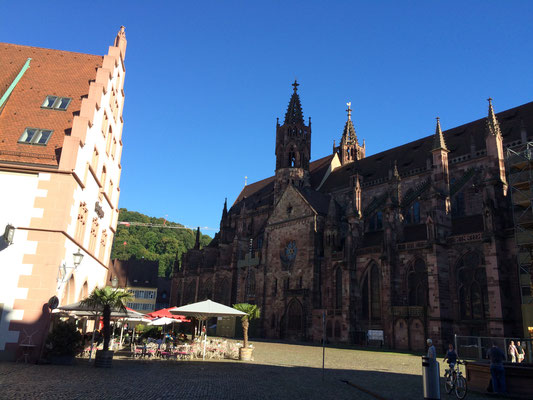 Dom von Freiburg