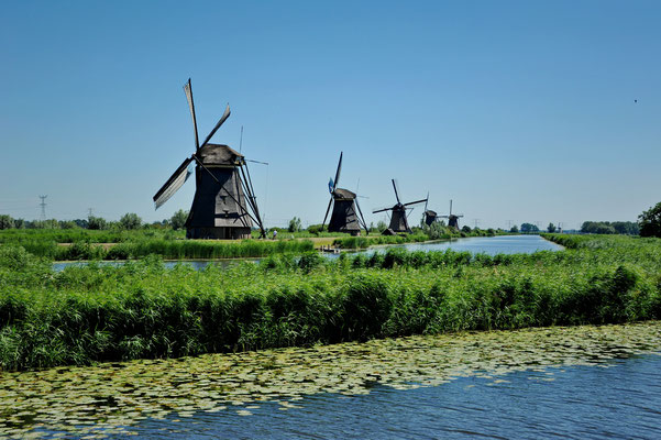 Die Windmühlen von Kinderdijk, ca. 16 km von Rotterdam entfernt, sind unsere erste Station in Holland. Eine traumhaft schöne Mühlenlandschaft empfängt uns