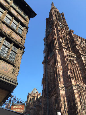Nochmals das beeindruckende Münster, beinahe 1000 Jahre alt, unglaublich
