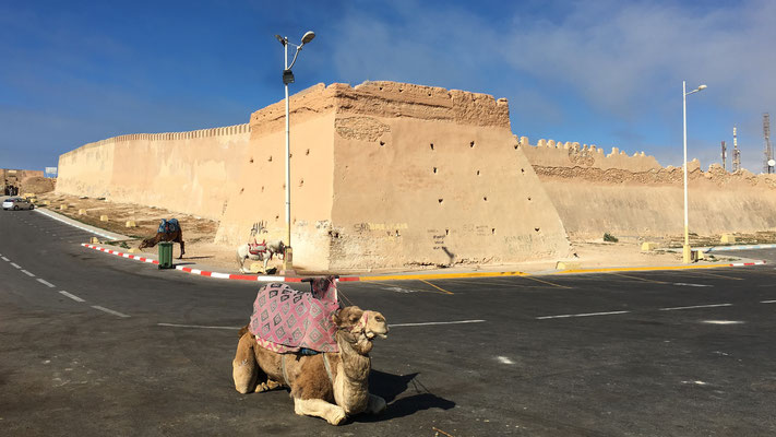...Festung "Agadir Oufela". Ein eingeborener Touristenführer erklärt mir, dass die Festung praktisch als einziges historisches Gebäude das grosse Erdbeben von 1960 überstanden hat. 
