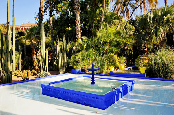... wurde 1980 von Yves Saint Laurent mit seinem Lebenspartner Pièrre Bergé erworben und aus dem Dornröschenschlaf erweckt. Die markante blaue Farbe die den Garten prägt, heisst heute noch "Bleu-Majorelle" 