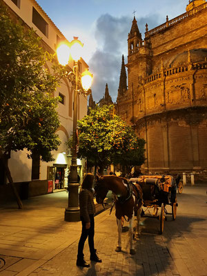 Abendspaziergang in Sevilla zur grössten Kathedrale von Spanien,... 