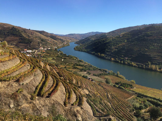 Über eine Passstrasse mit knapp 1000 m.ü.M. erreichen wir das berühmte Weinbaugebiet des Douro-Tales.