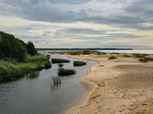 Nach dem passieren der Grenze Estland-Lettland durchqueren wir eine waldreiche Landschaft. Diese Wälder reichen bis an die Sandstrände der Ostsee.