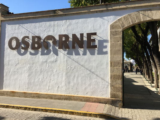 Osborne ist wohl die bekannteste Sherrry-Bodega Spaniens. Alle Spanienreisende kennen die überdimensionierten Kampfstier-Silhouetten, welche in ganz Spanien an viel befahrenen Autostrassen aufgestellt sind.