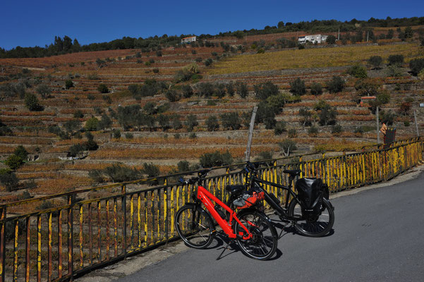 An den beiden letzten Tagen sind E-Bike-Touren angesagt. Die erste Fahrt führt uns westwärts zu einem inmitten der Weinberge gelegenen Weingut.