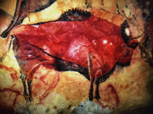 Die Felsmalereien in der Höhle von Altamira sind nicht vergebens UNESCO-Weltkulturerbe. (Diese 3 Fotos musste ich mir ausborgen, da das Fotografieren wieder einmal verboten war)