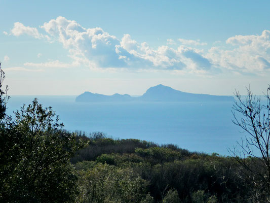 Wenden wir uns lieber ab von den unschönen Details und geniessen den Blick hinaus übers Mittelmeer, zur schönen und schroffen Insel "Capri".
